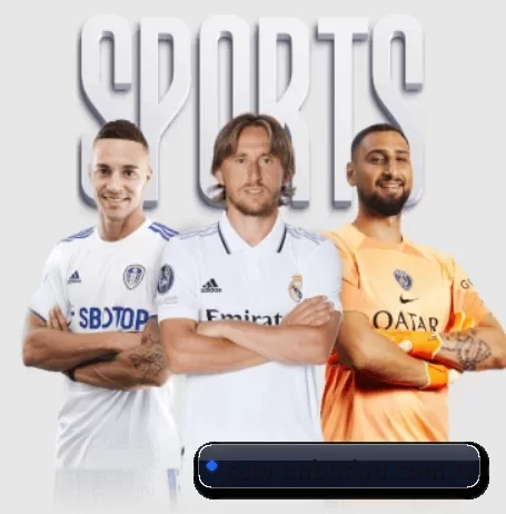 安博体育 APP 界面 - ANBOSPORTS